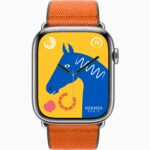Apple Watch Hermès Silver Stainless Steel Case with Twill Jump Single Tour