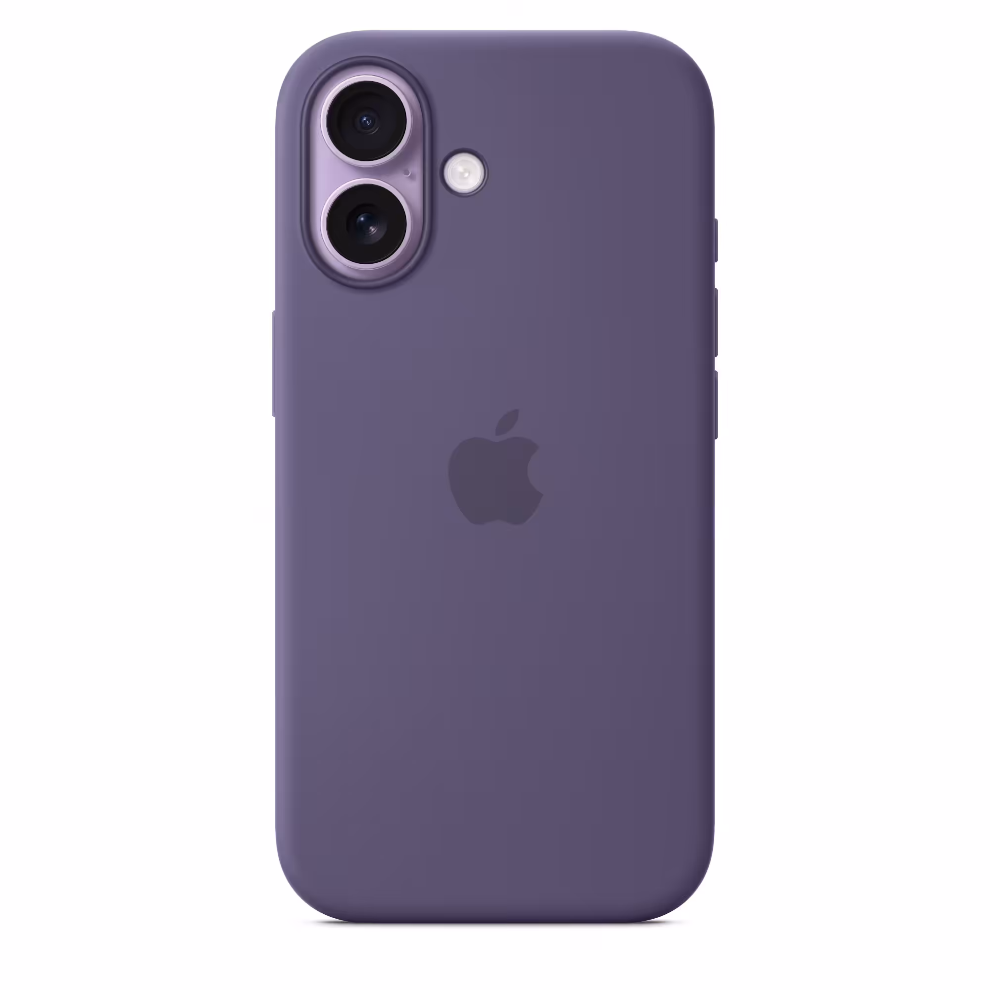 Purple Fog
